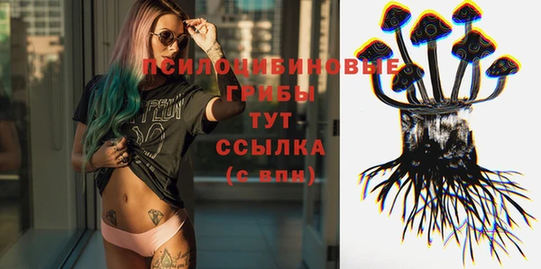 ешки Ладушкин