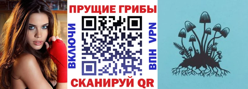 наркота  Багратионовск  Галлюциногенные грибы Magic Shrooms 